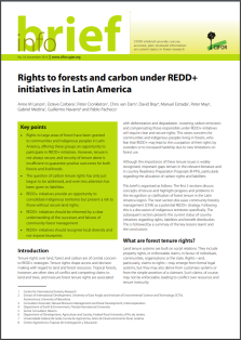 cifor info brief rights to forest carbon