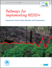 pathways for implementing REDD+